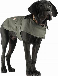 Carhartt Coat