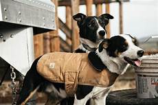 Carhartt Jacket