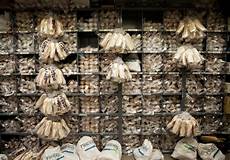 House Shoes