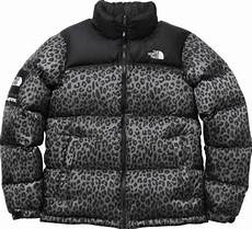 Northface Vest