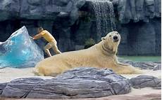 Polar T-Shirts