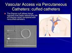 Short Term Catheters