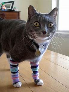 Socks Funny