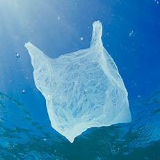 Suit Carrier Bags