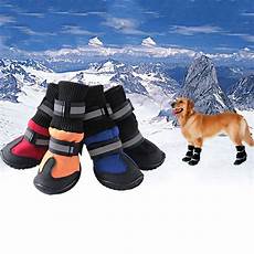 Winter Shoes